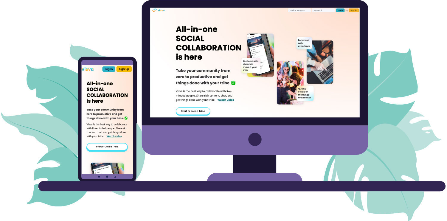 Screenshot of Visva website
