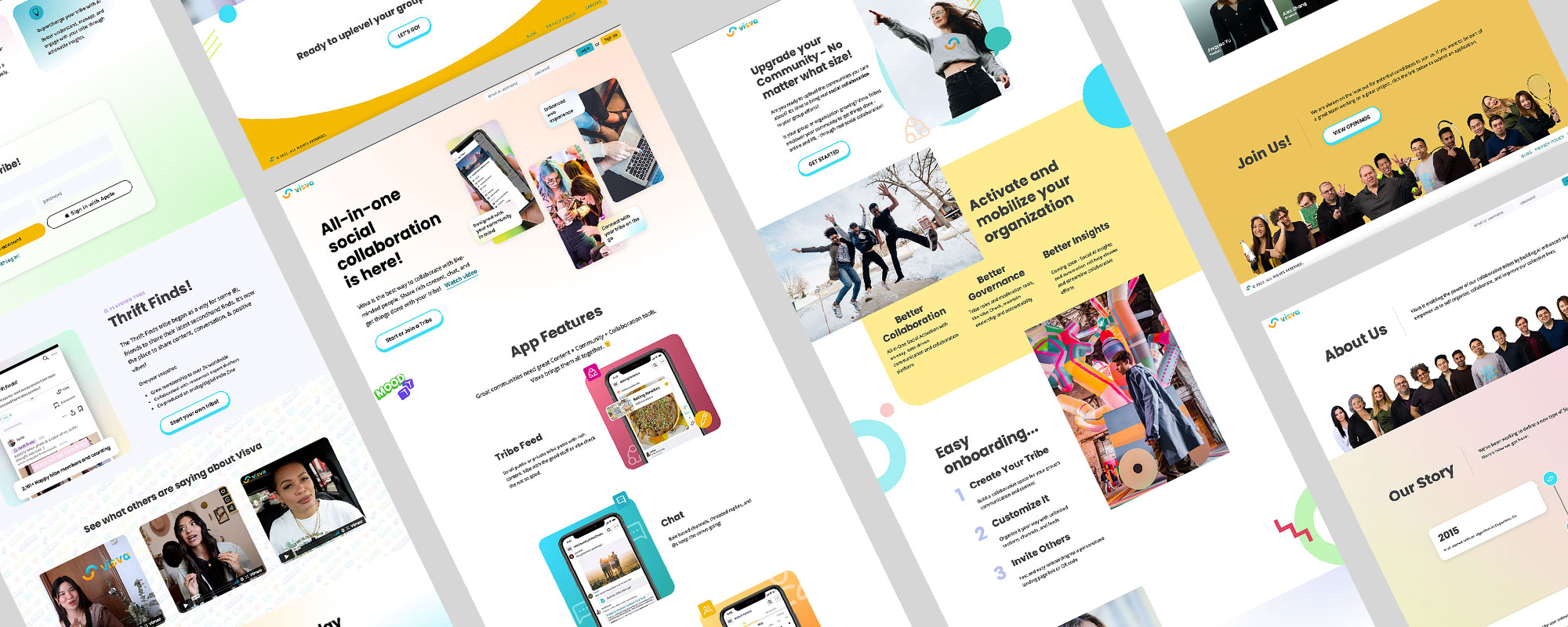Grid of screenshots from the Visva website